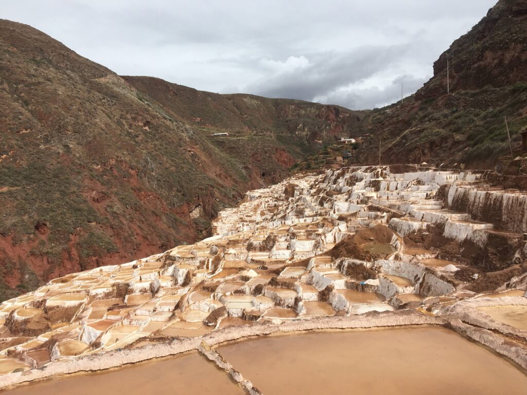 Maras